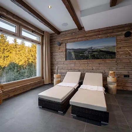 Apartment Dolni Morava-3 By Interhome